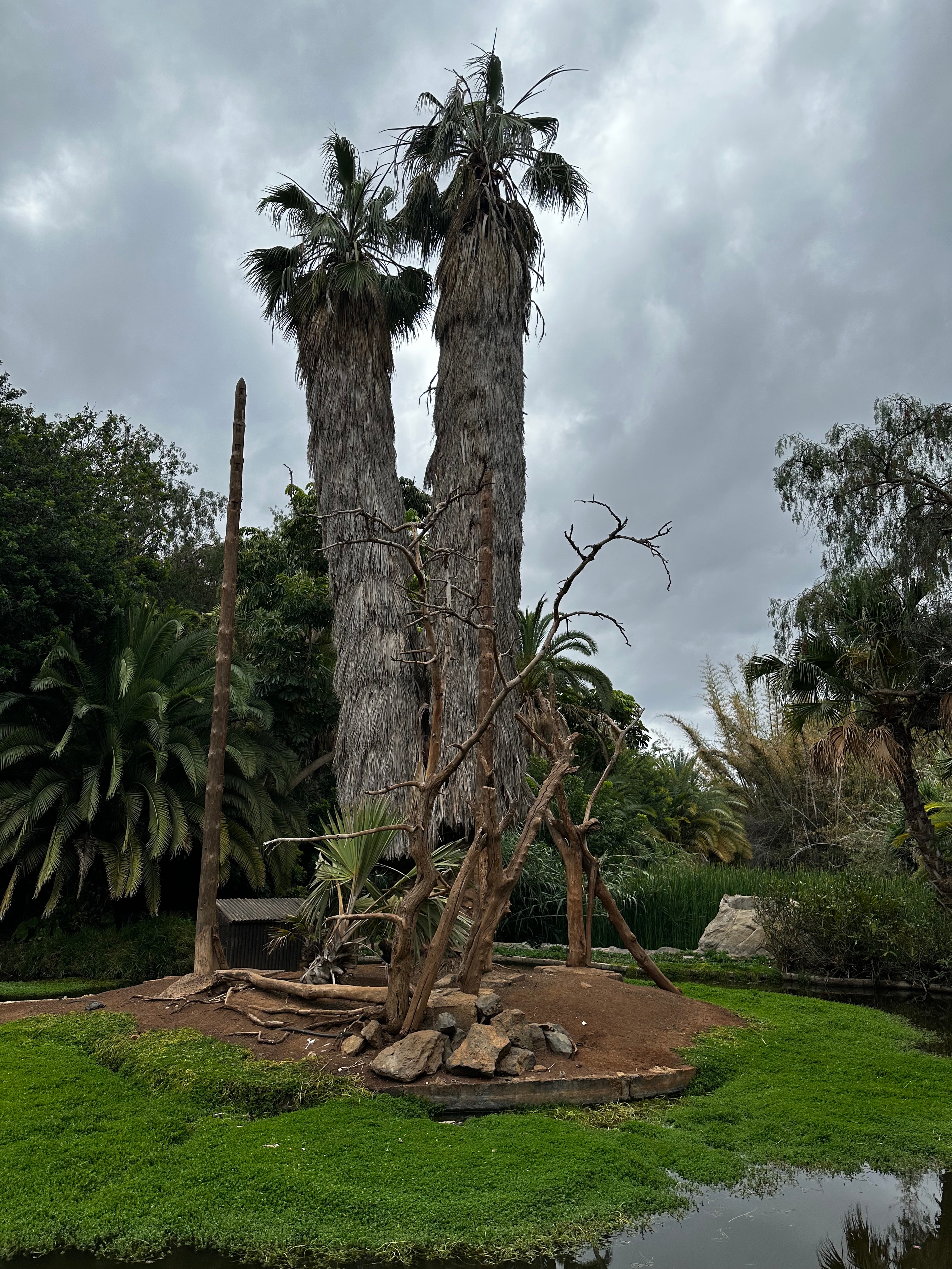 Jungle Park