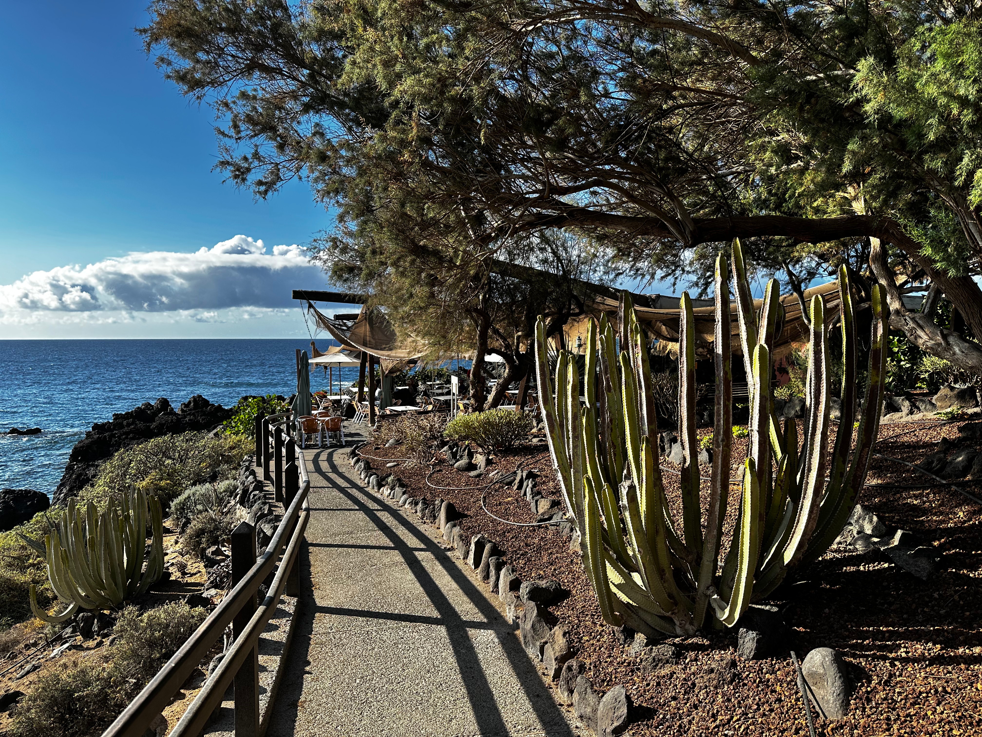 Restaurante El Burgado, Buenavista del Norte