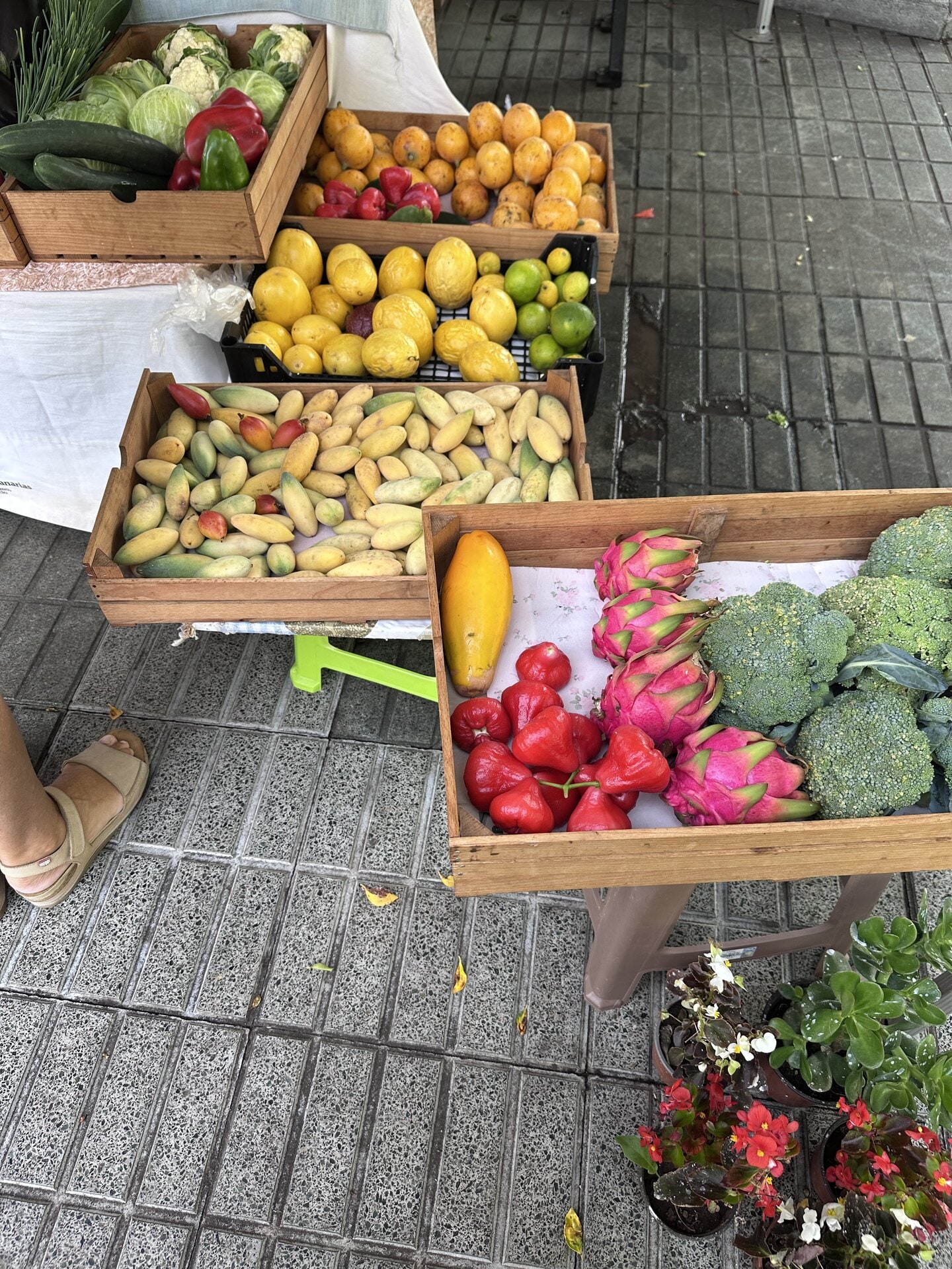 Cajas de fruta y verdura local en un puesto del mercado del agricultor de Los Silos: mangos, papayas, pitahayas, brócoli y flores.