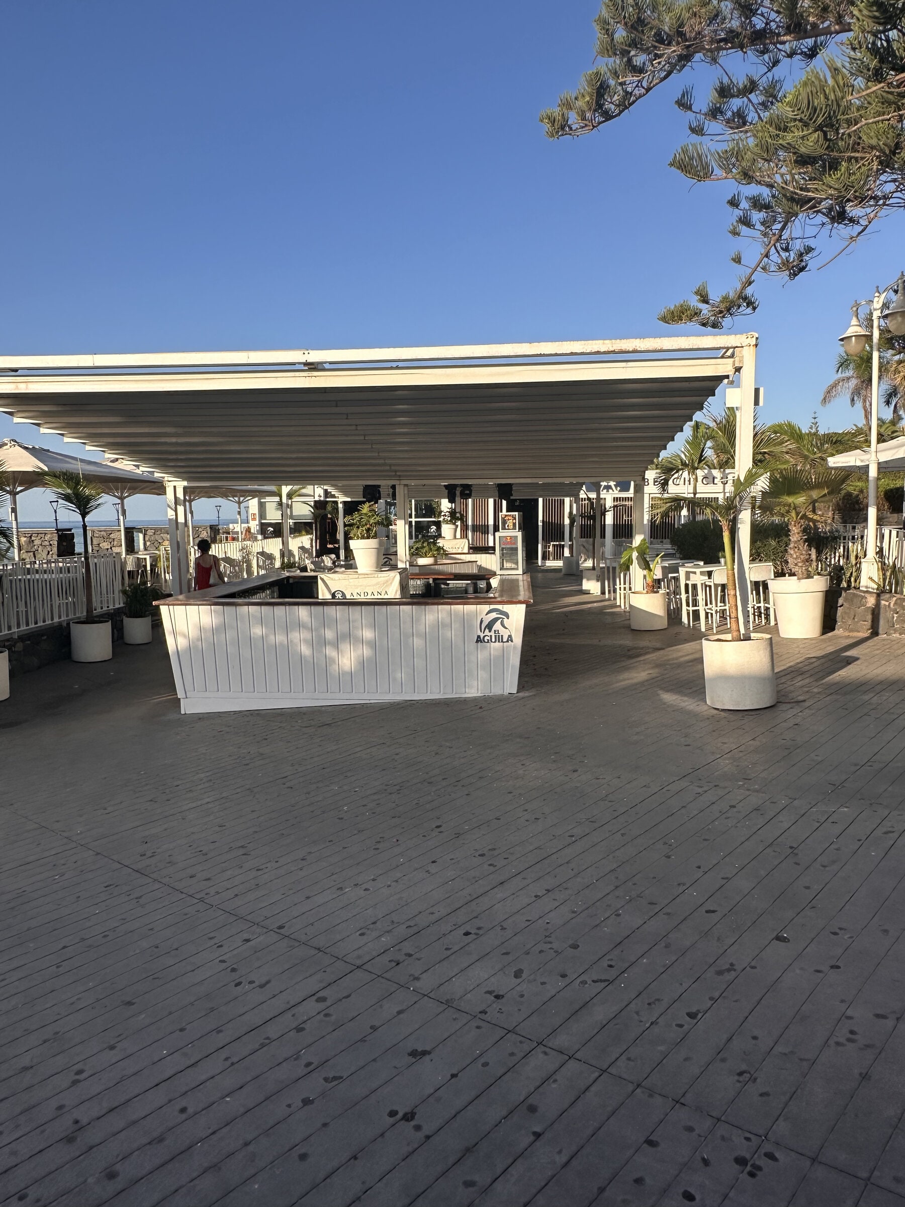 Terraza de madera de Andana Beach Club con la barra bajo una pérgola blanca, palmeras en maceteros y el mar al fondo.