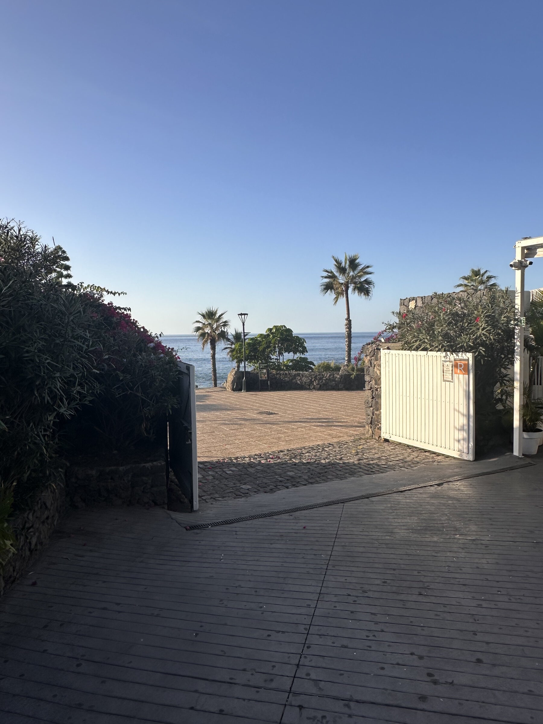 Vista desde la tarima de madera, a través de una cancela abierta, hacia un paseo con palmeras y el mar al fondo.