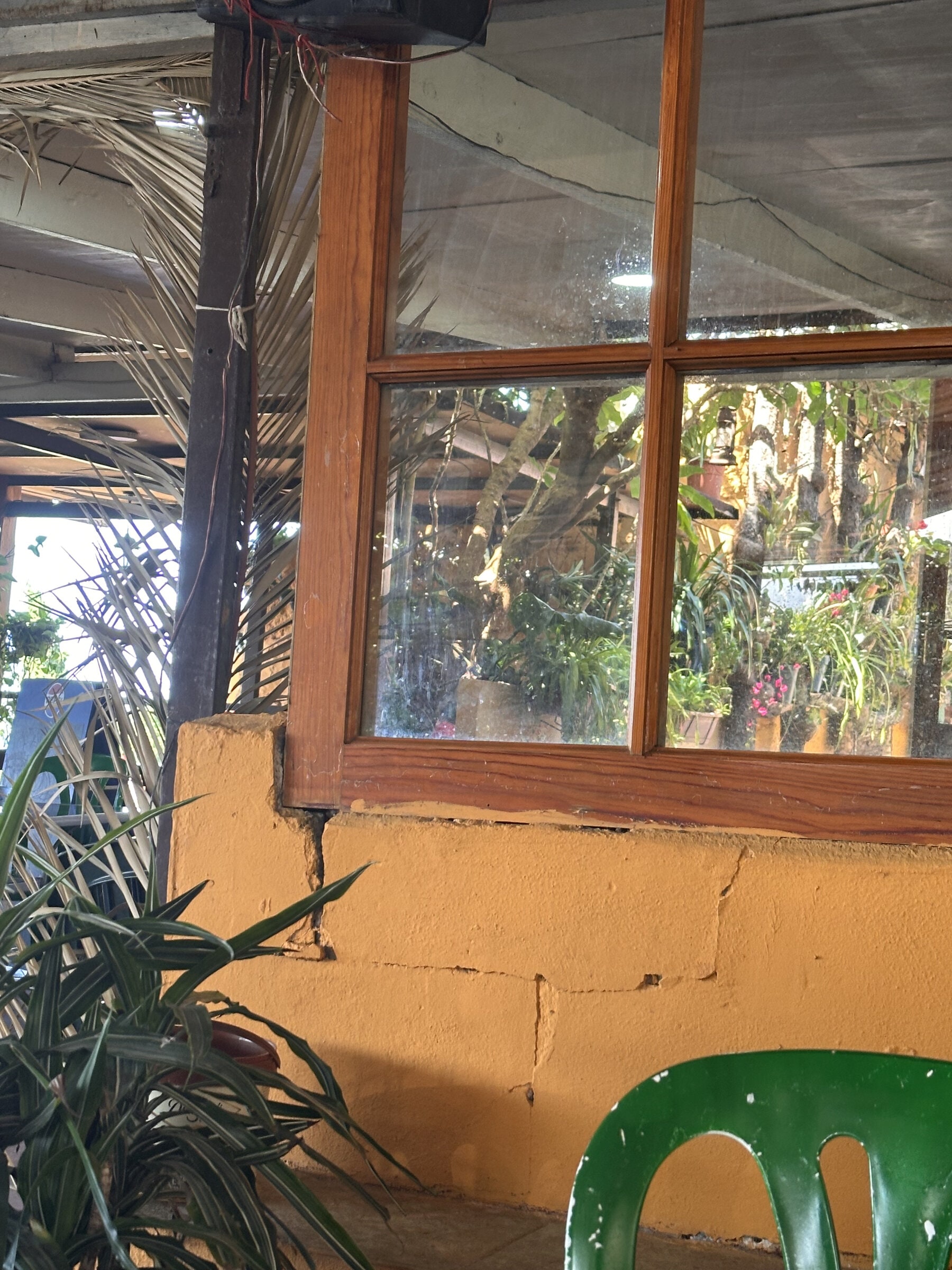 Ventana con marco de madera sobre un muro amarillo en el comedor cubierto, con plantas y una silla verde.