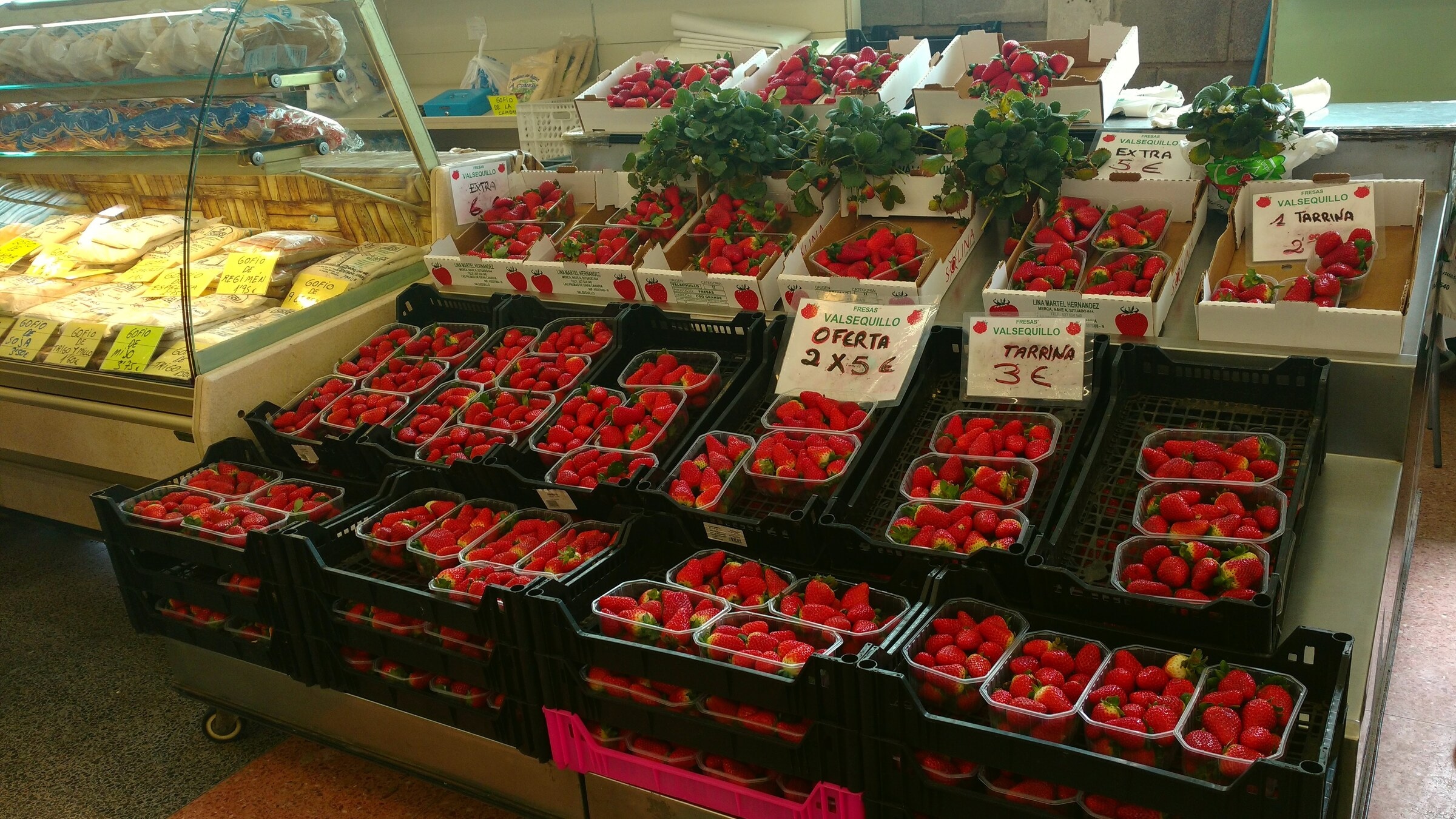 Mercadillos de Gran Canaria: qué día abre cada uno