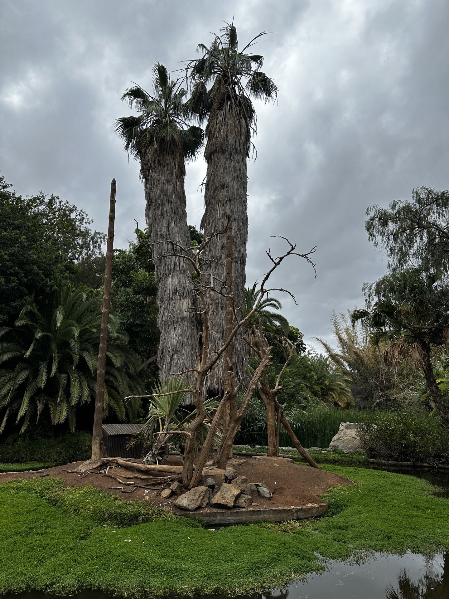 Jungle Park