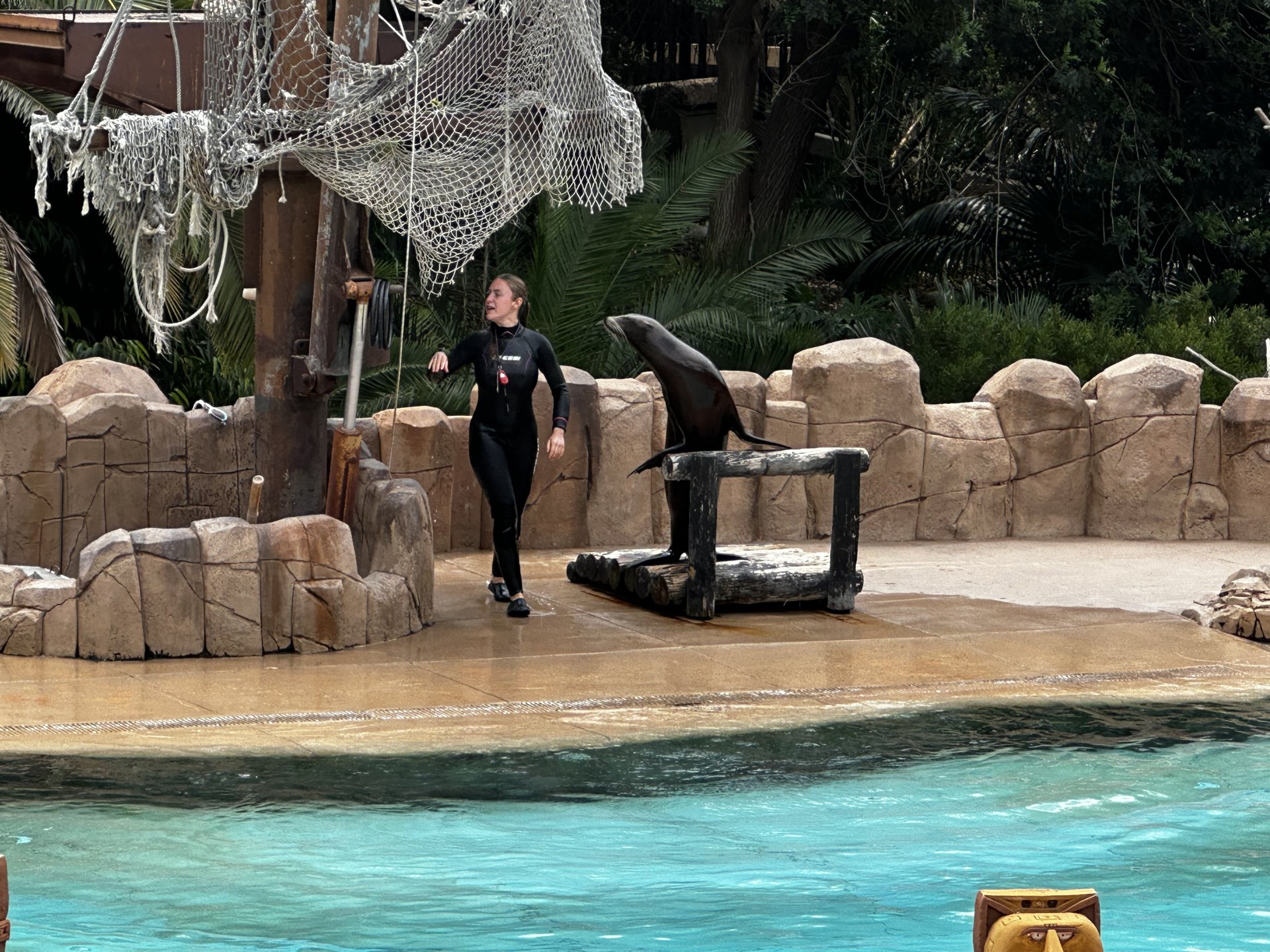 Jungle Park