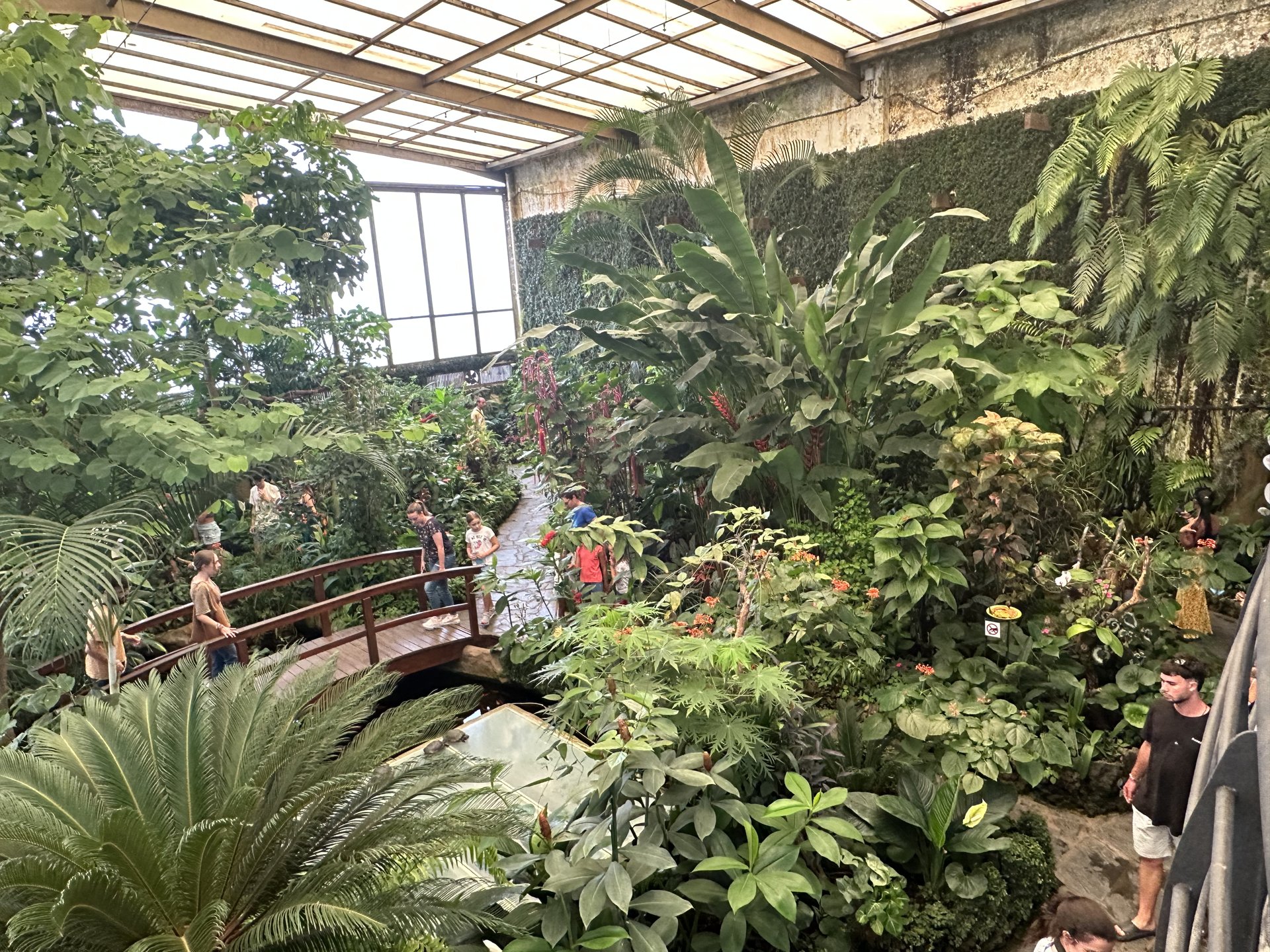 Mariposario del Drago