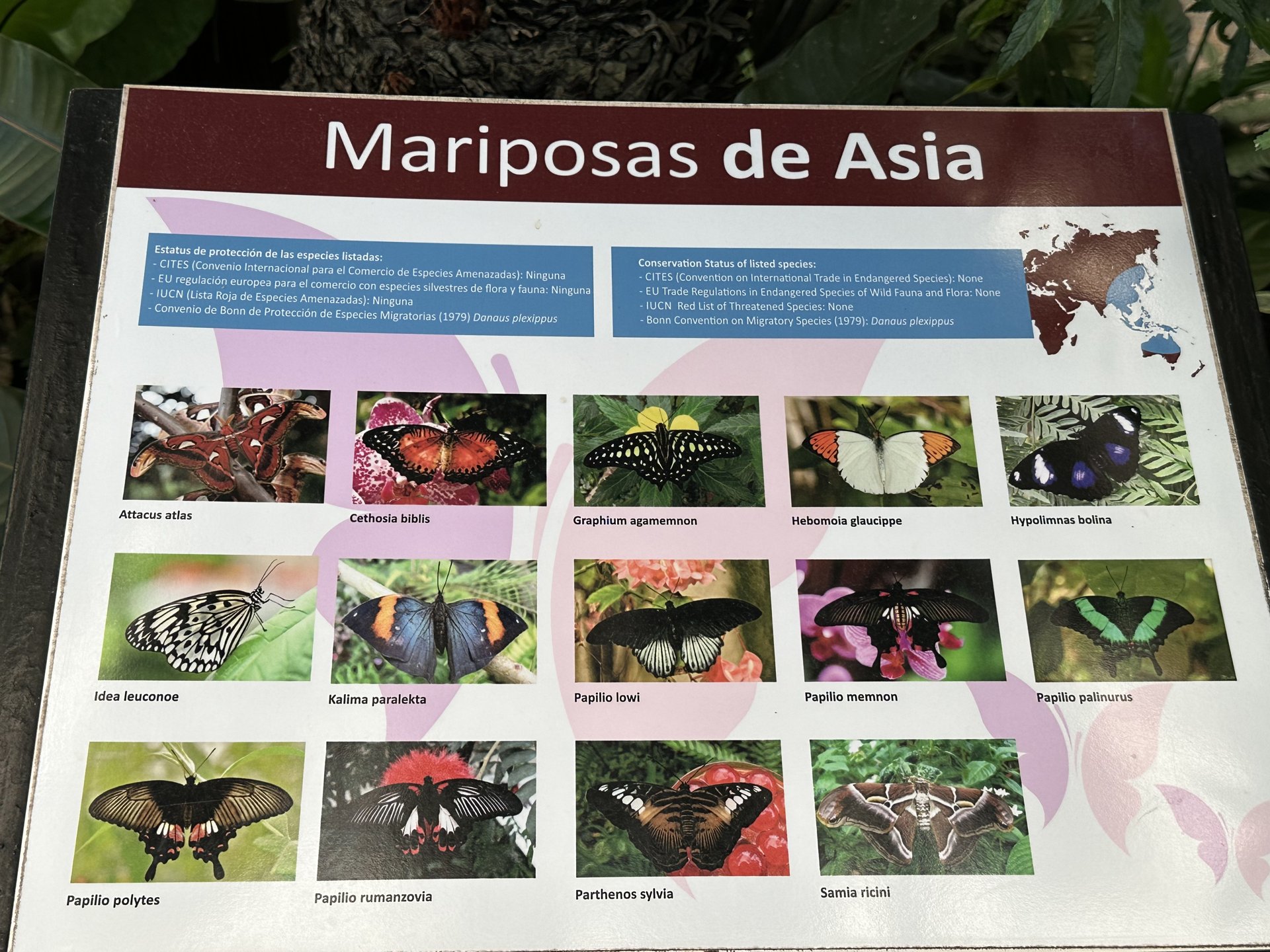 Mariposario del Drago